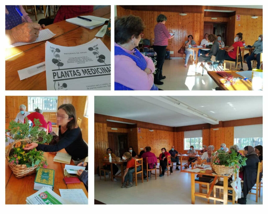 Plantas das mulleres. Formación 2020