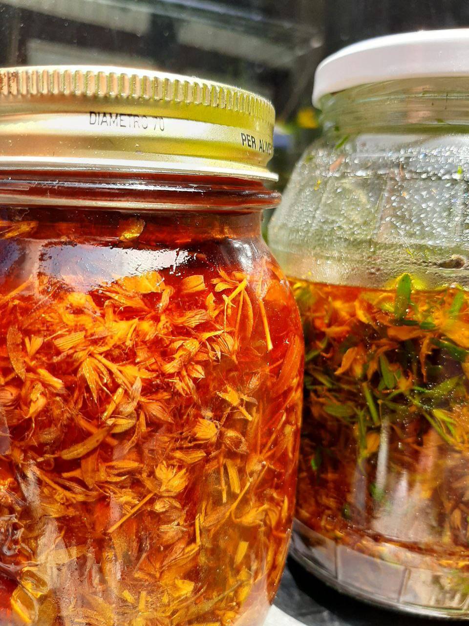 Hypericum perforatum.